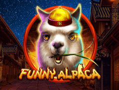 Funny Alpaca thumbnail